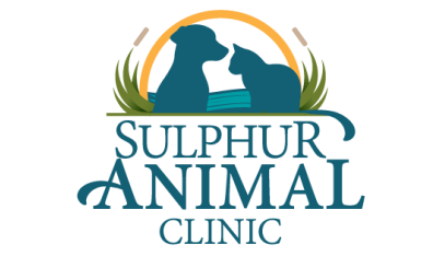 Sulphur Animal Clinic-HeaderLogo